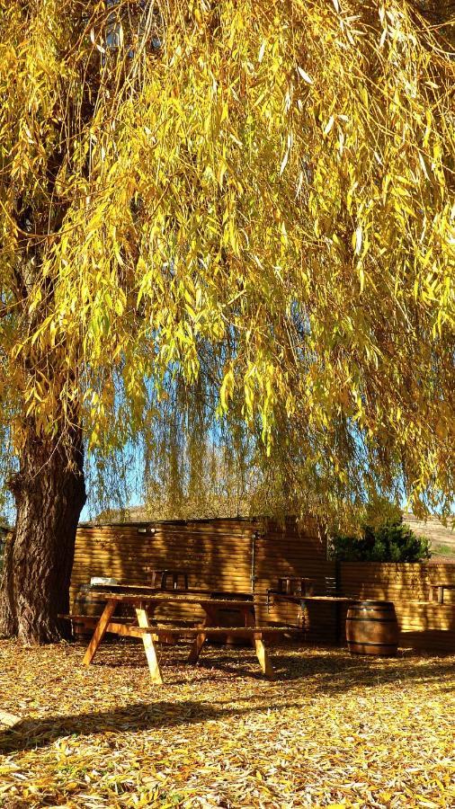 Le 12 Villa Ebreuil Bagian luar foto
